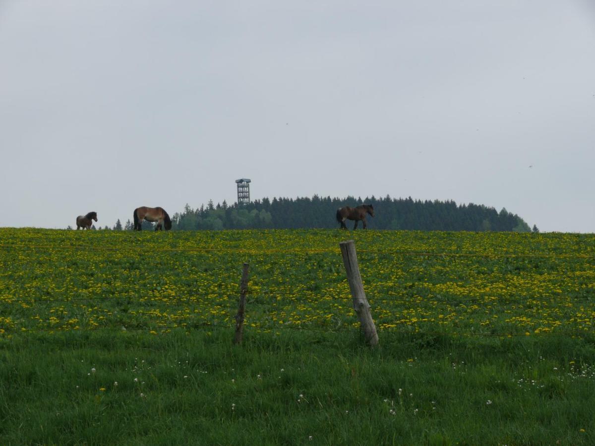 Ferienwohnung Nimm Dir Zeit Hinterhermsdorf Exterior foto